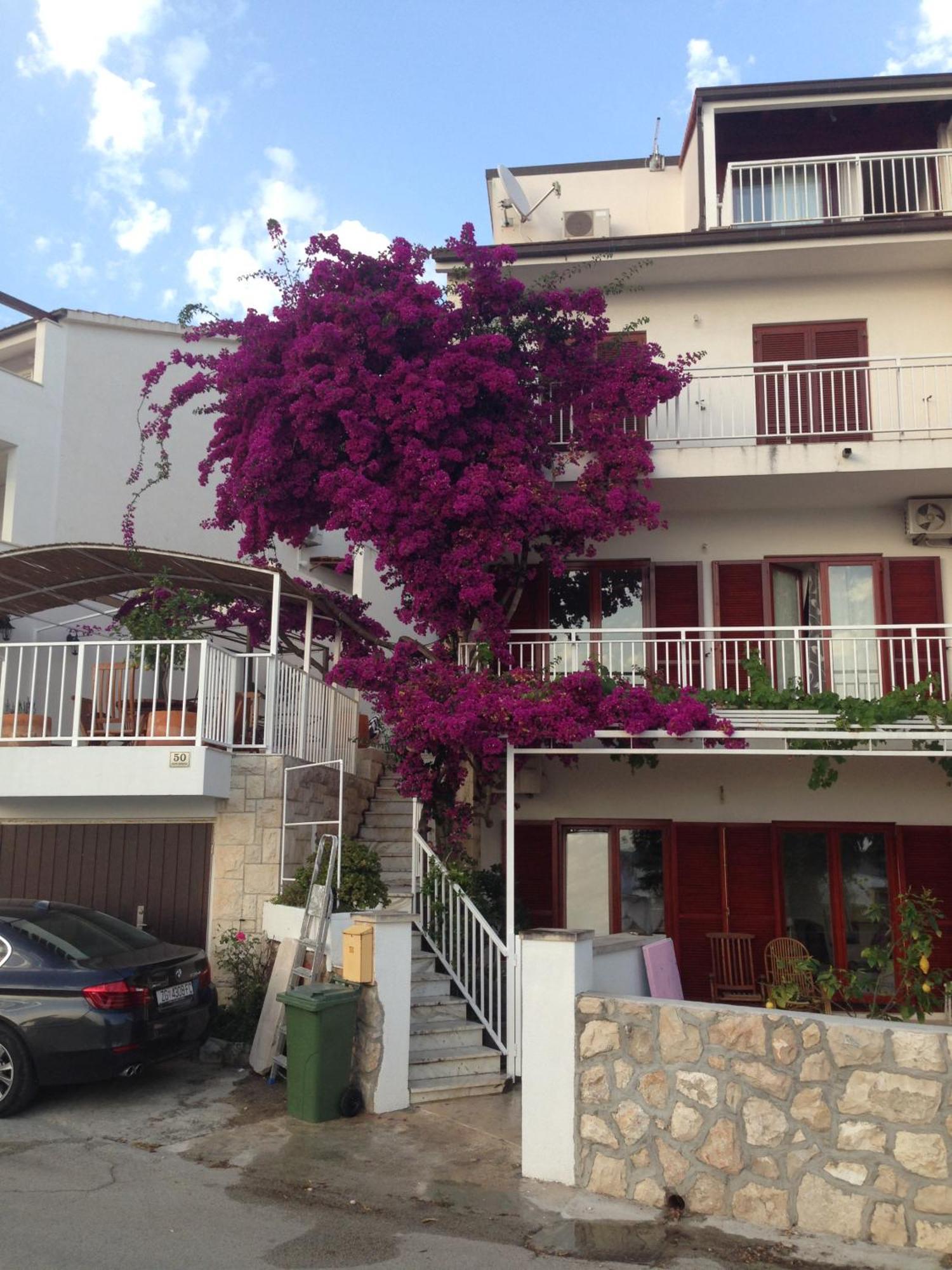 Apartment Duda ฮวาร์ ภายนอก รูปภาพ